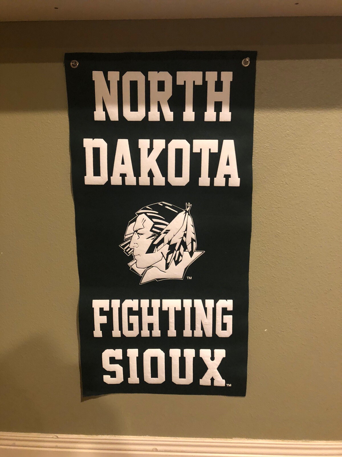UND Fighting Sioux Banner