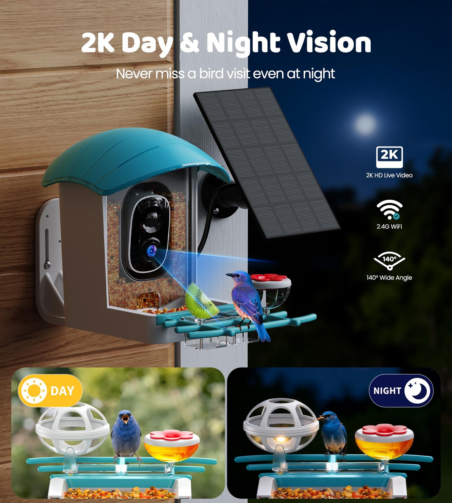 Bird Feeder with Camera Solar Powered: Smart Feeders for Medium, Blue