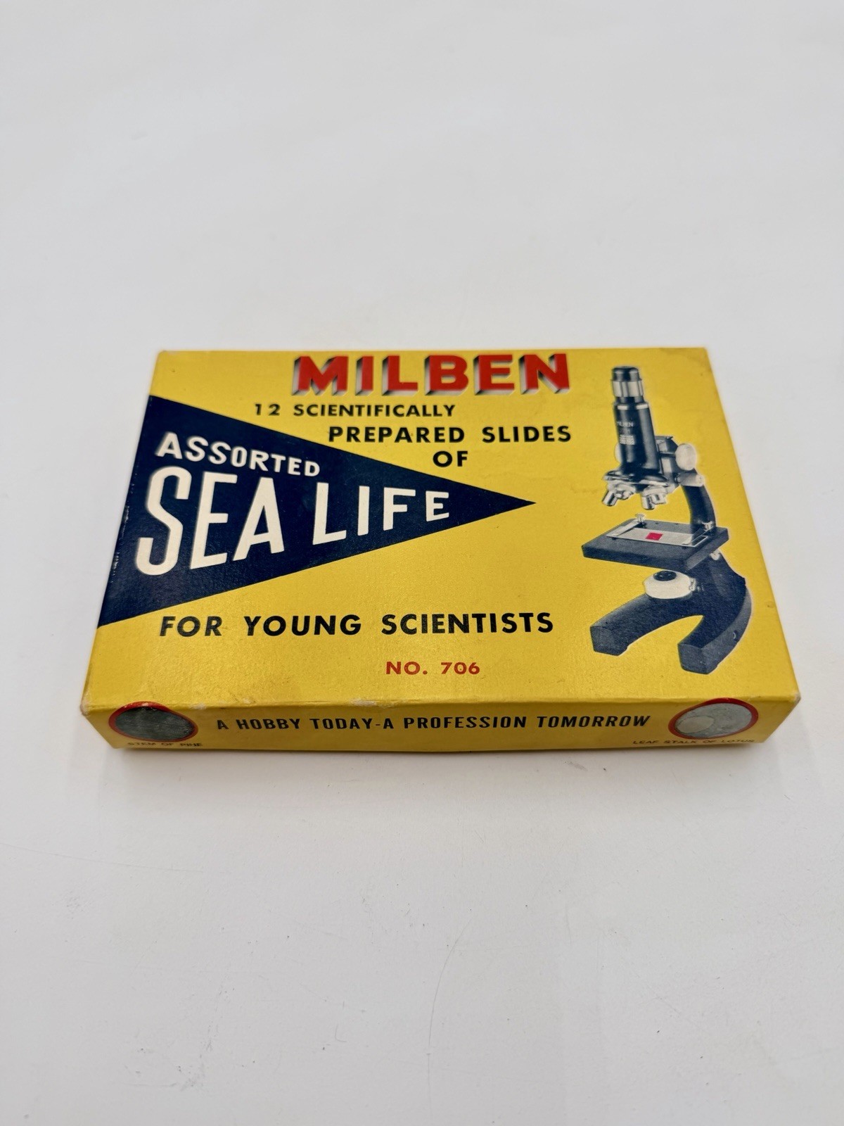 Vtg Milben Scientifically 12 Prepared Slides For Assorted Sea Life No#706 Taiwan