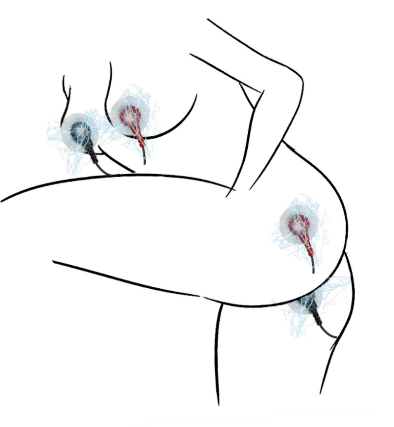 Male E-Stim Penis Shock Therapy Extender Enhancer Ring Plug Host Pulse Device SM