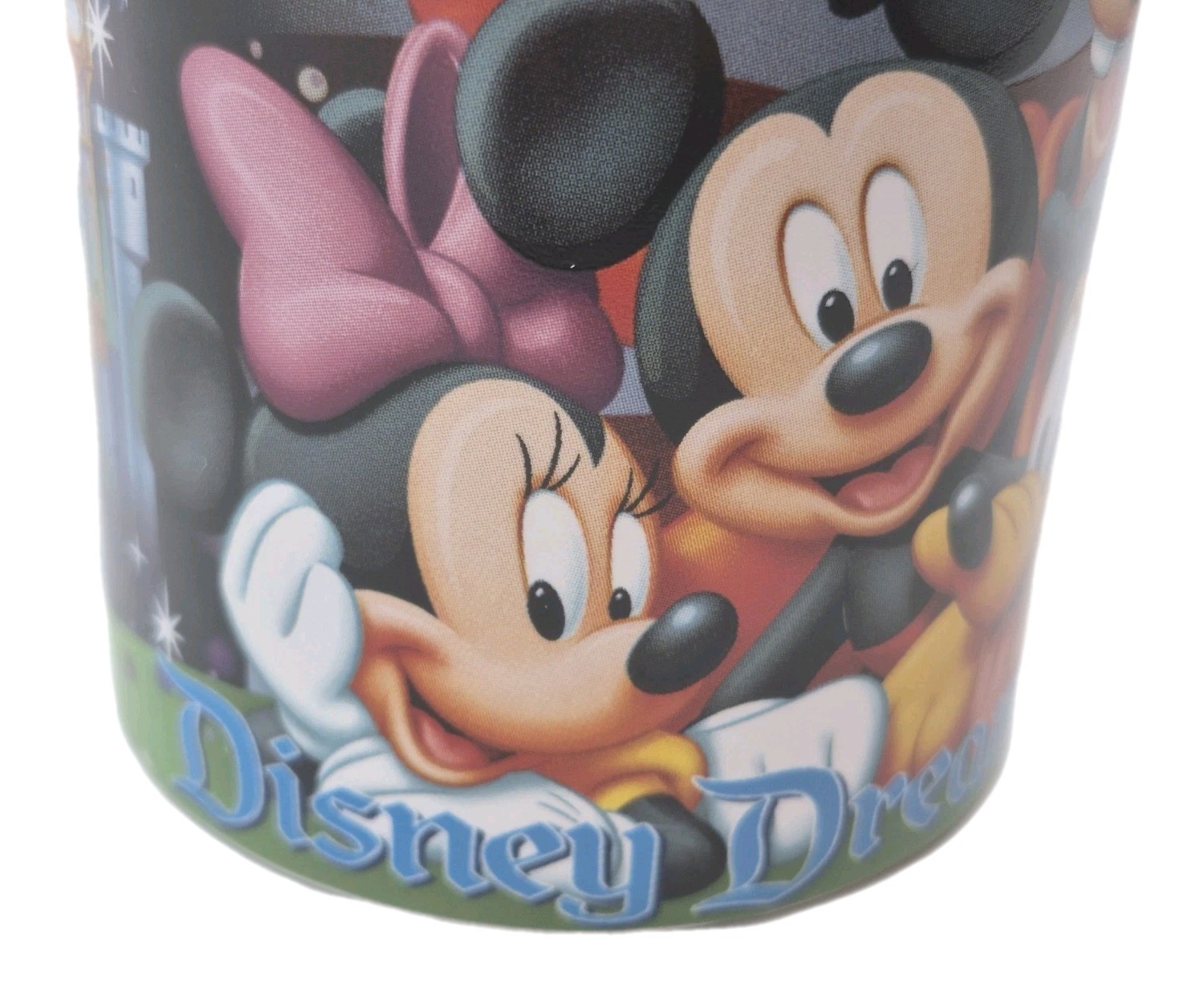 Jerry Leigh Disney Dreams Florida Ceramic Mug 11oz