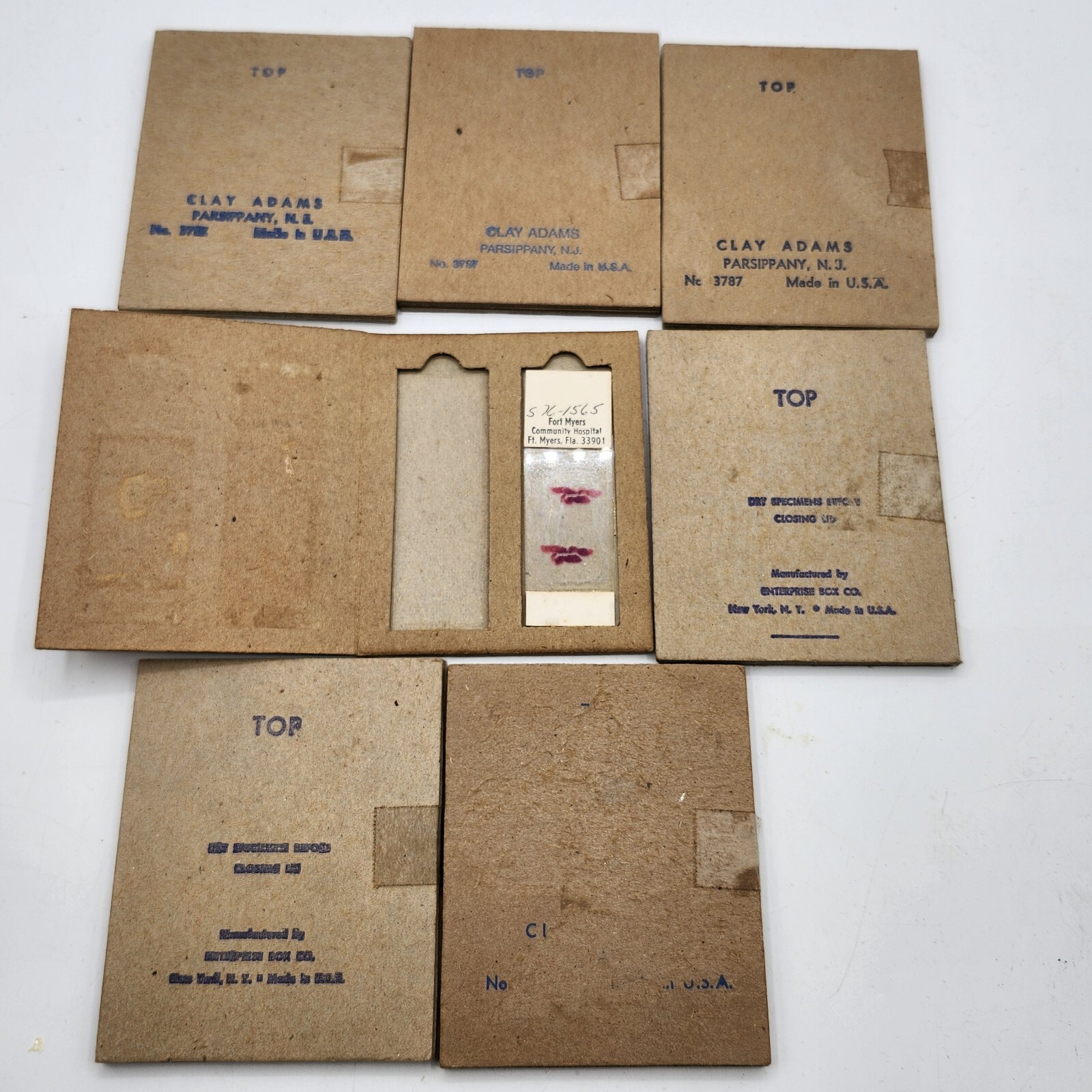 15 slides Vintage Clay Adams Microscope Slide Boxes Glass case