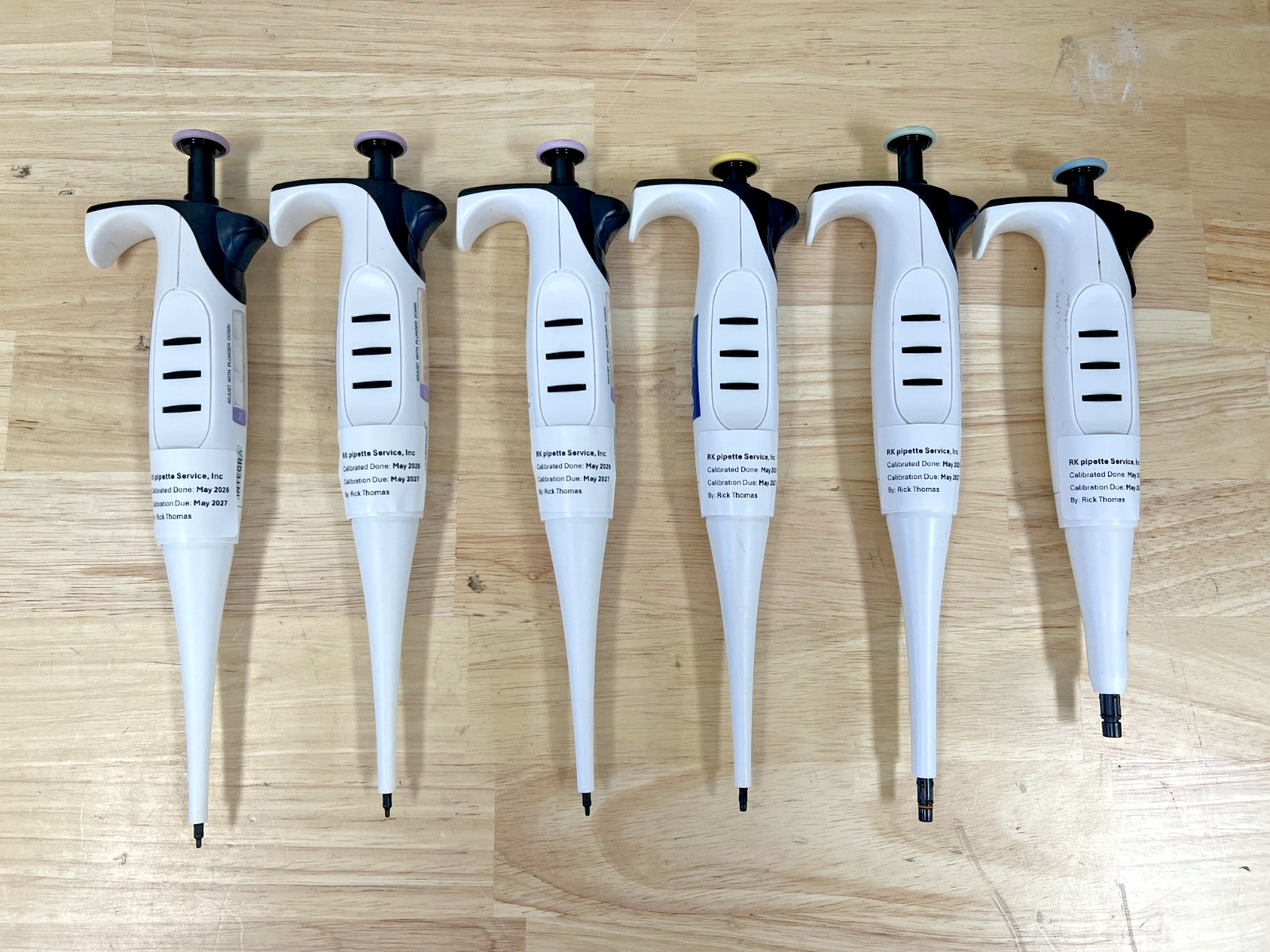 integra evolve manual pipettes set of P1000, 200, 100, 20, 10, 2, cal May 2026