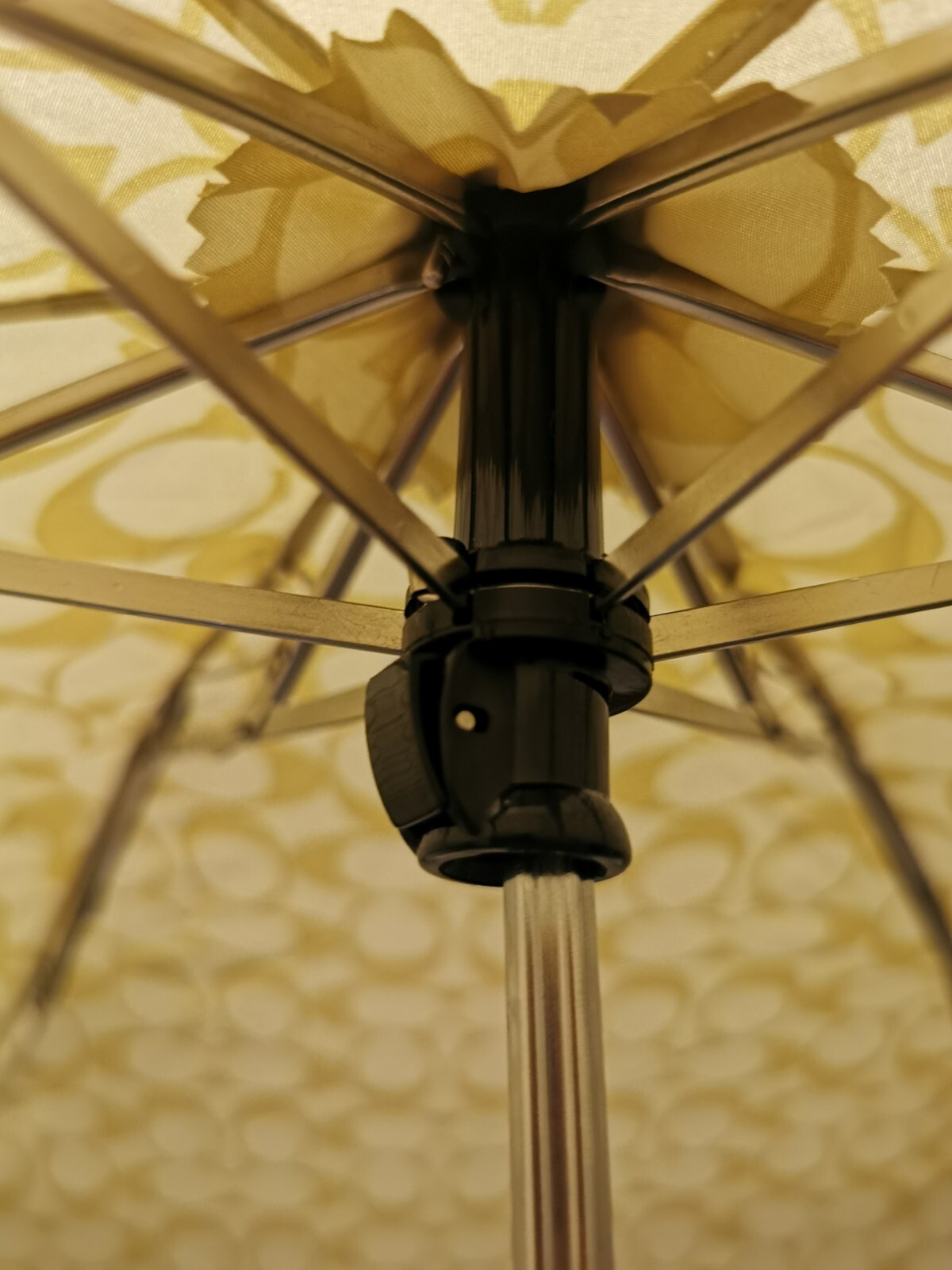 New With Tags Coach Umbrella Ivory Rouge
