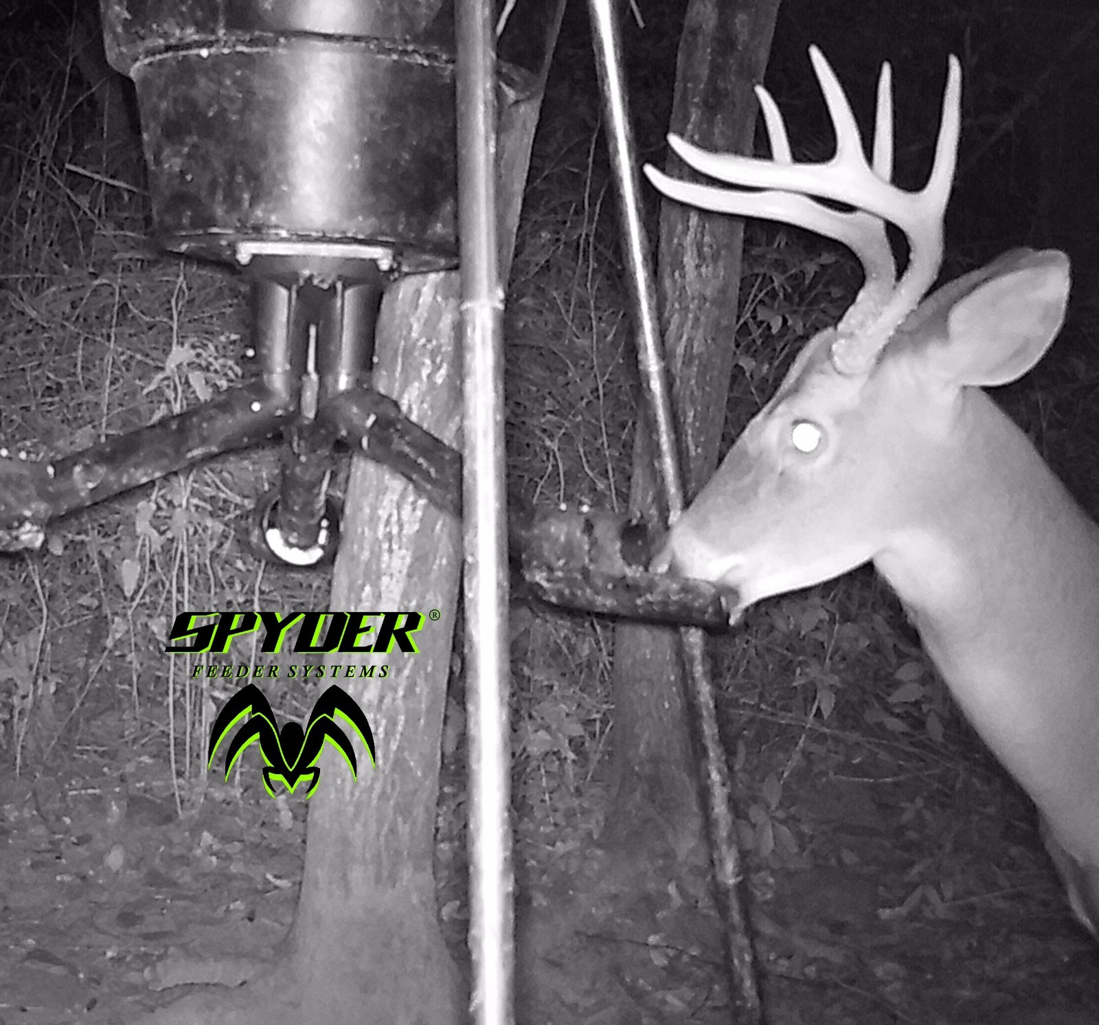 SPYDER Gravity Feeder Attachment