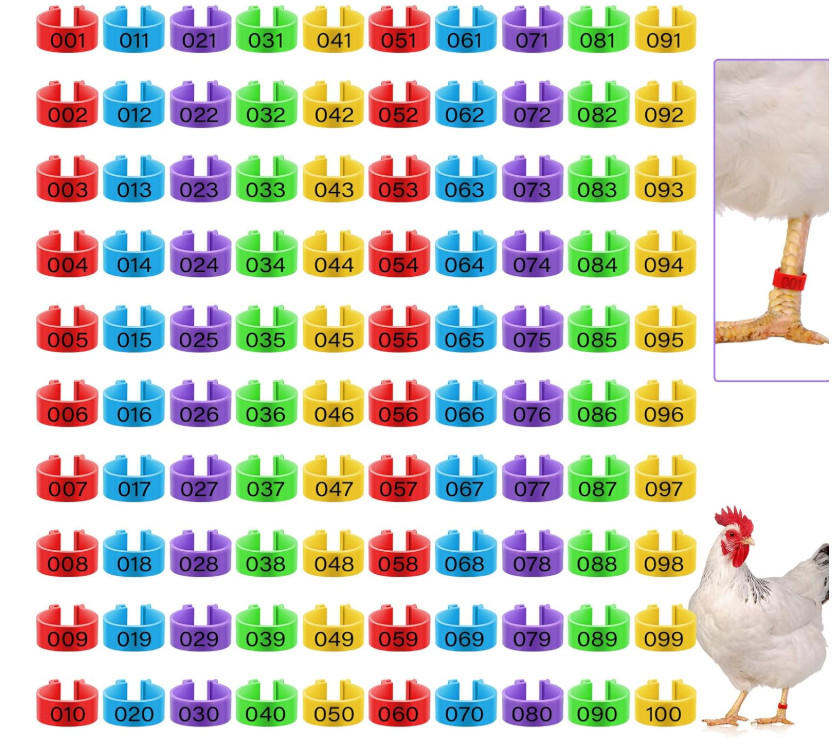 Placas para marcar gallos gallinas pollos pinches anillos accesorios 100 pcs