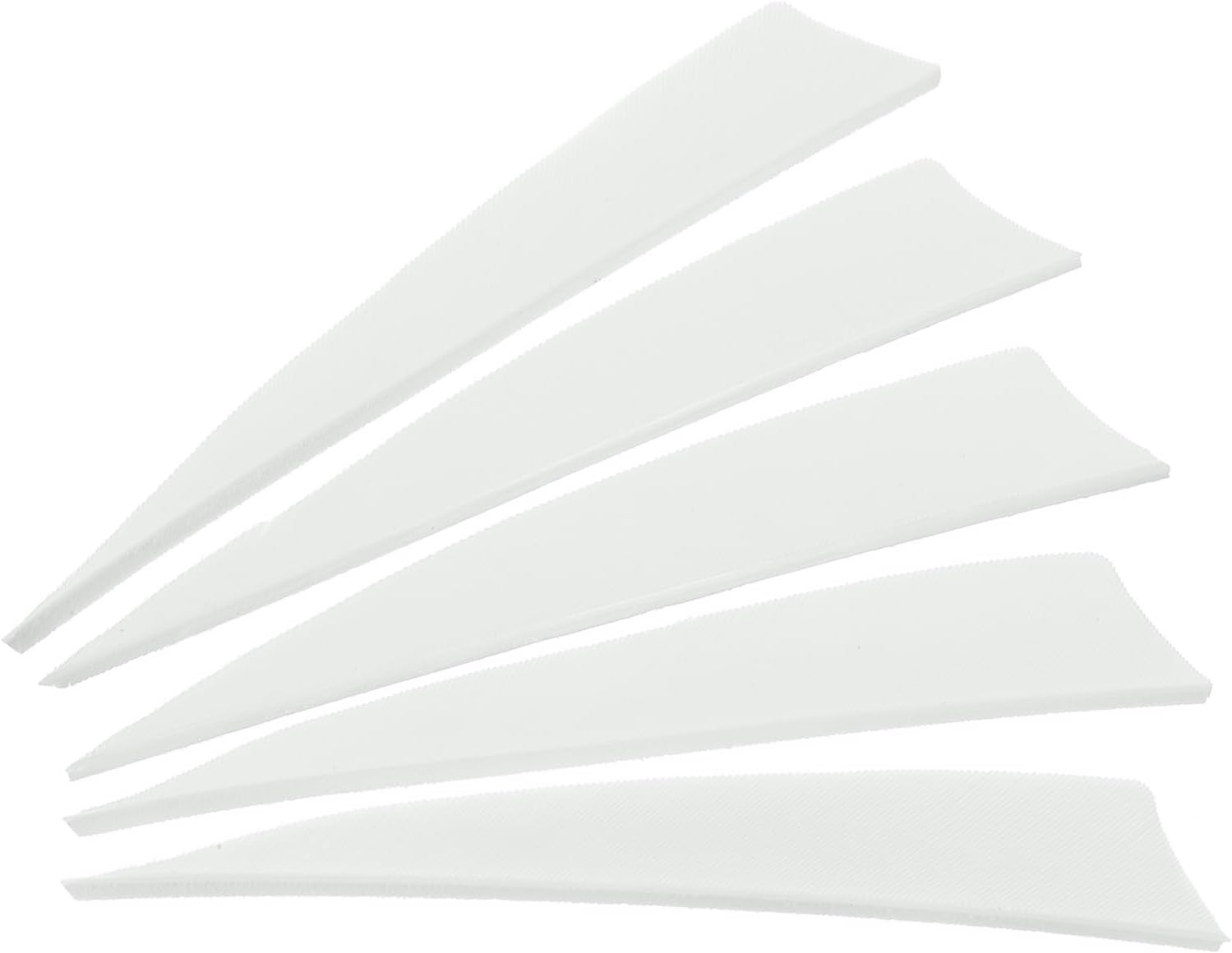 Arrows Vanes Arrow Feather Right Wing