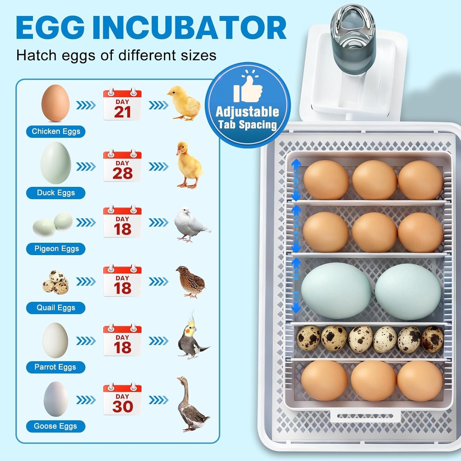 Incubators for Hatching Eggs 15-35 Eggs Incubator with Automatic Egg