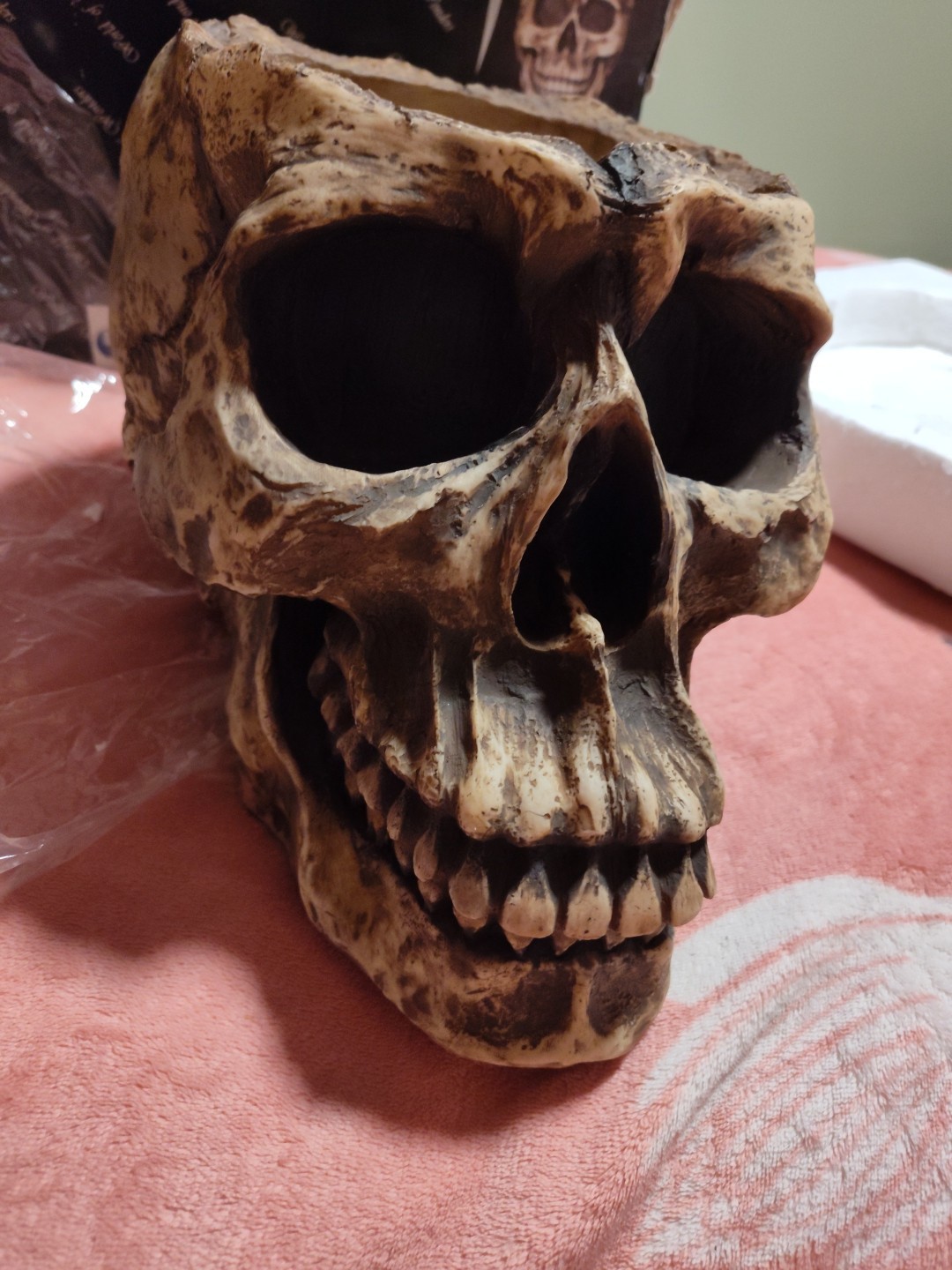 WORLD OF WONDER LARGE SKULL PLANTER