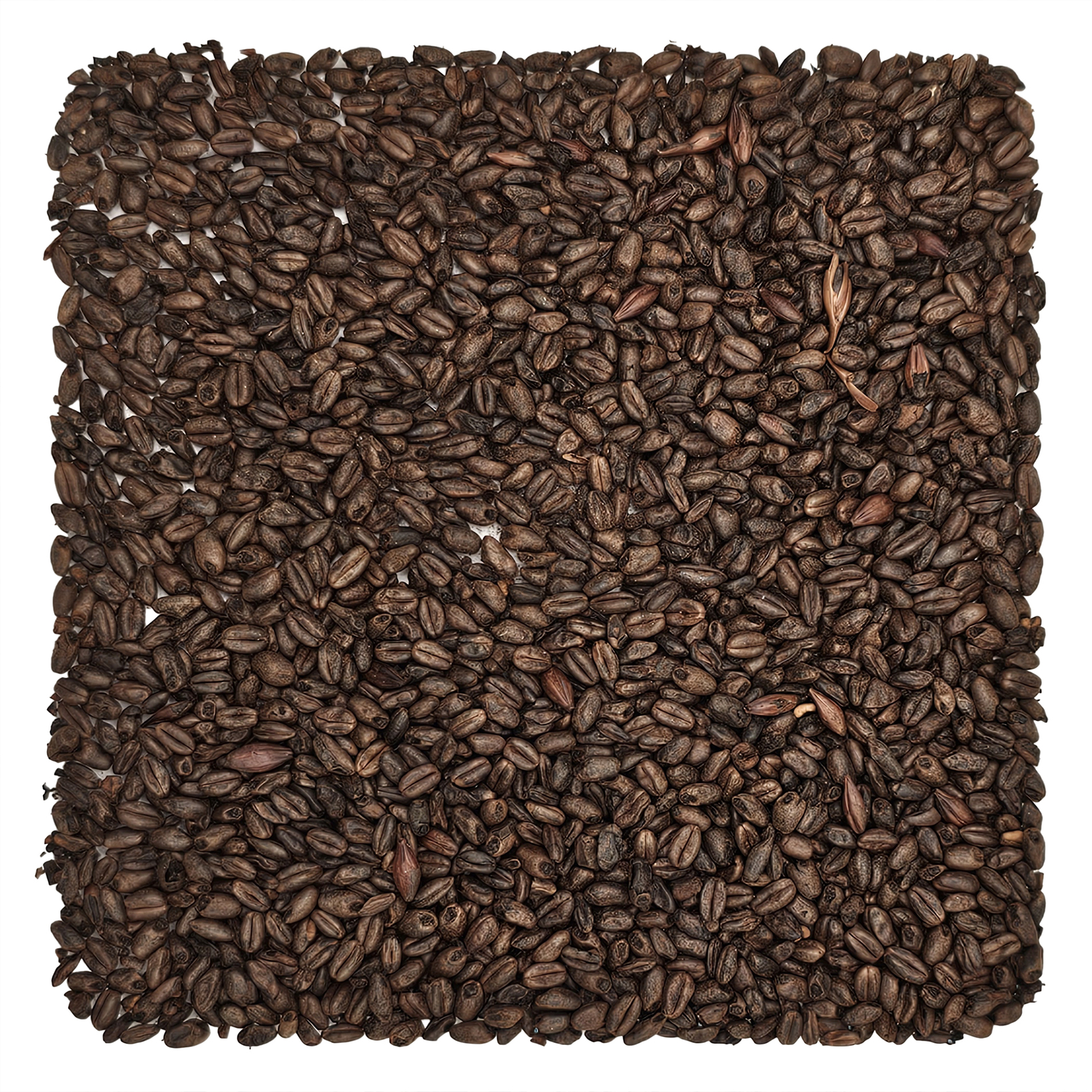 Home Brew Ohio Chocolate Grain 1lb
