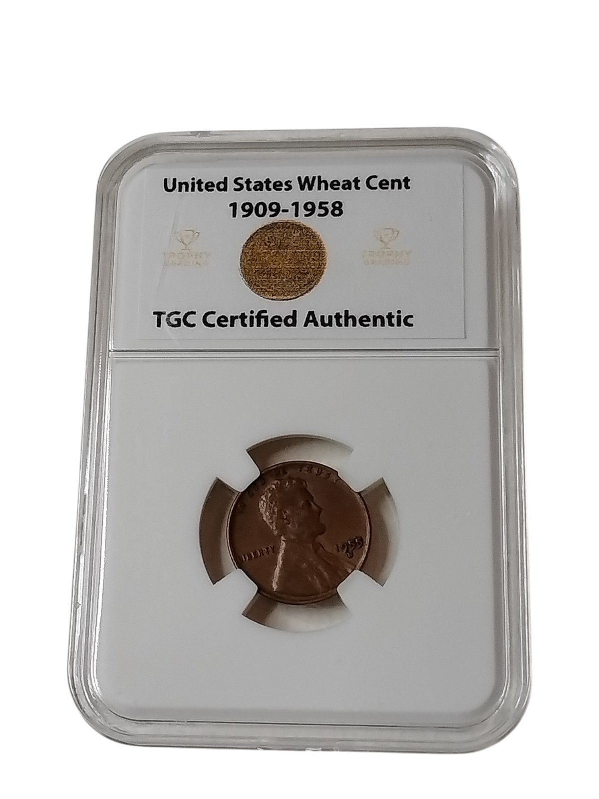 🔥1955 D WHEAT CENT TCG Certified  Authentic UNCIRCULATED - WHEAT PENNY