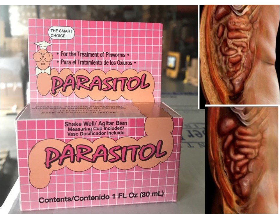 SUPPORT PARASITOL Parasite ANTI PARASITE HERBAL Body Cleanse DETOX 30ml
