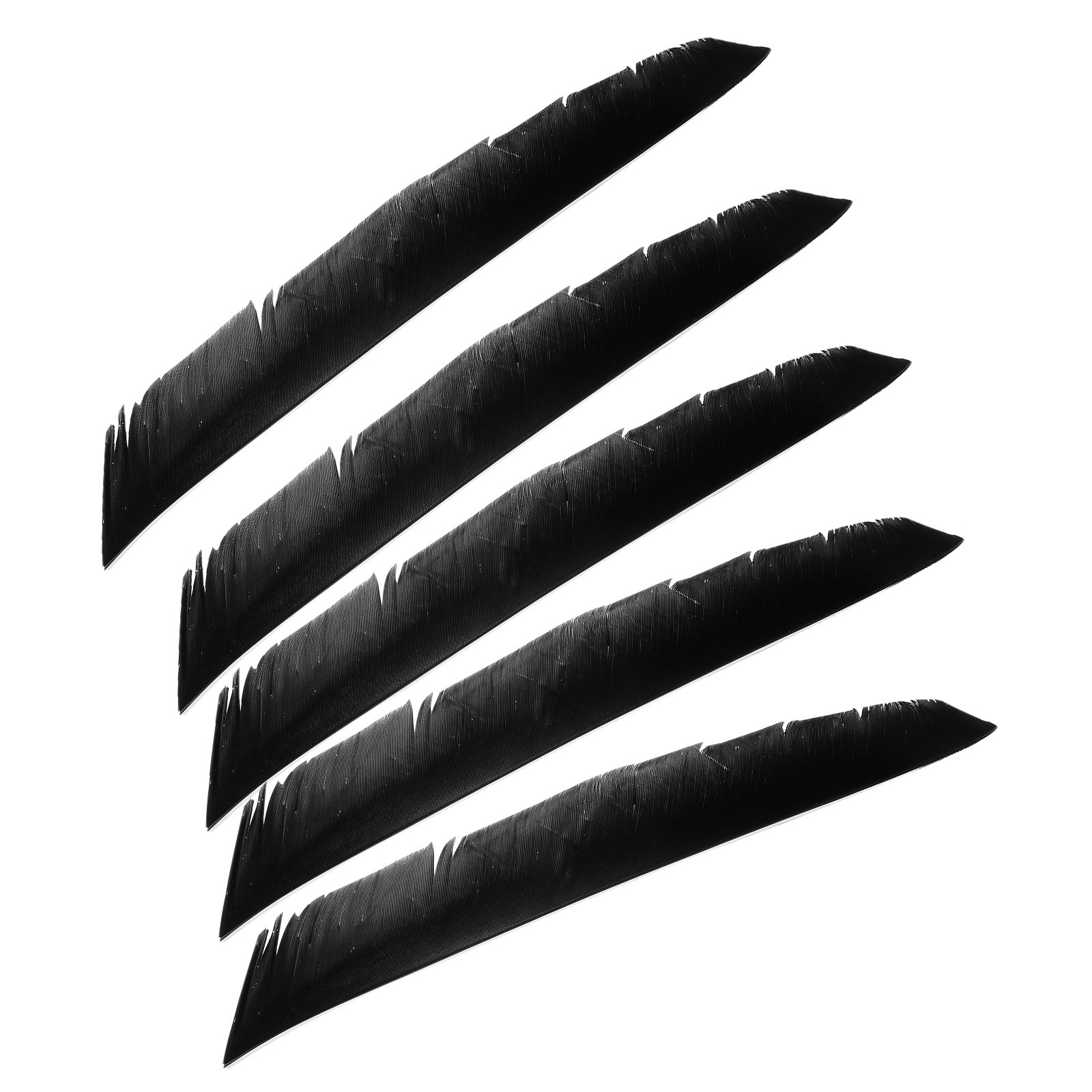 50pcs Arrows Vanes 11 Inch Turkey Feather Arrow Fletching Right Wing, Black