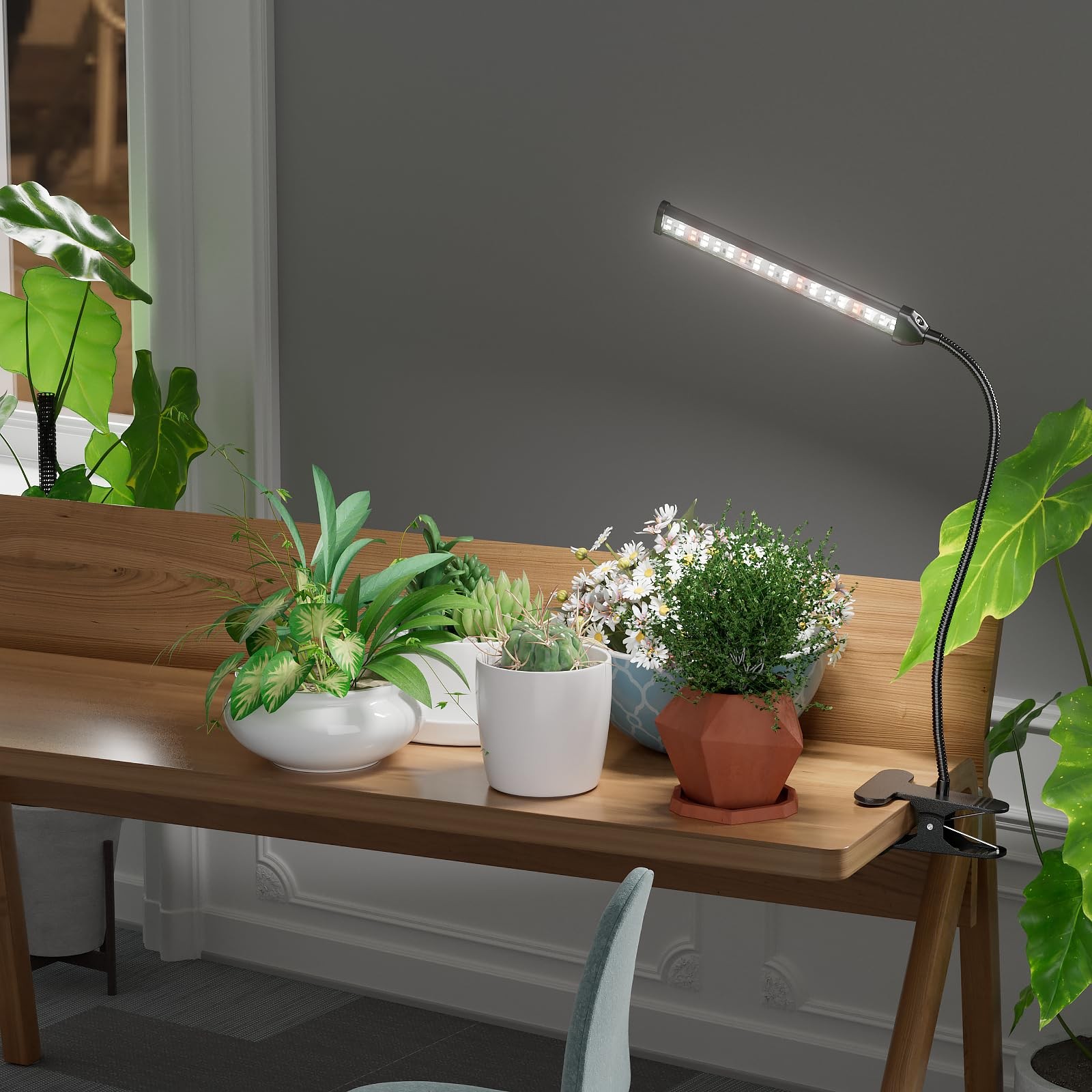 Grow Light for Indoor Plants Growing, 6000K Full Spectrum