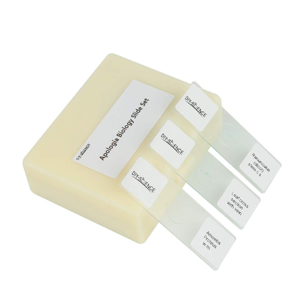 Prepared Microscope Slides Set for Apologia Biology, Pack of 16pcs Specimens ...
