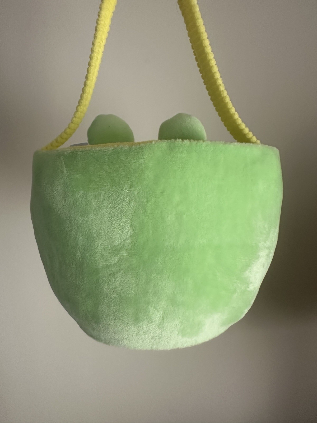 Plush Frog Basket