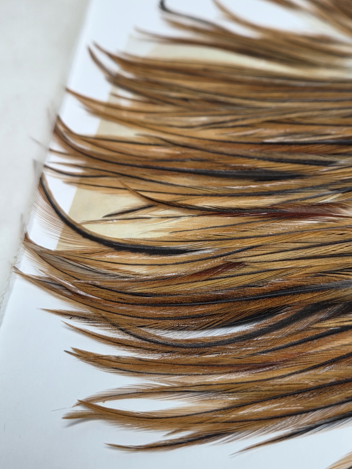 METZ Furnace Saddle Hackles Feathers Fly Tying Materials
