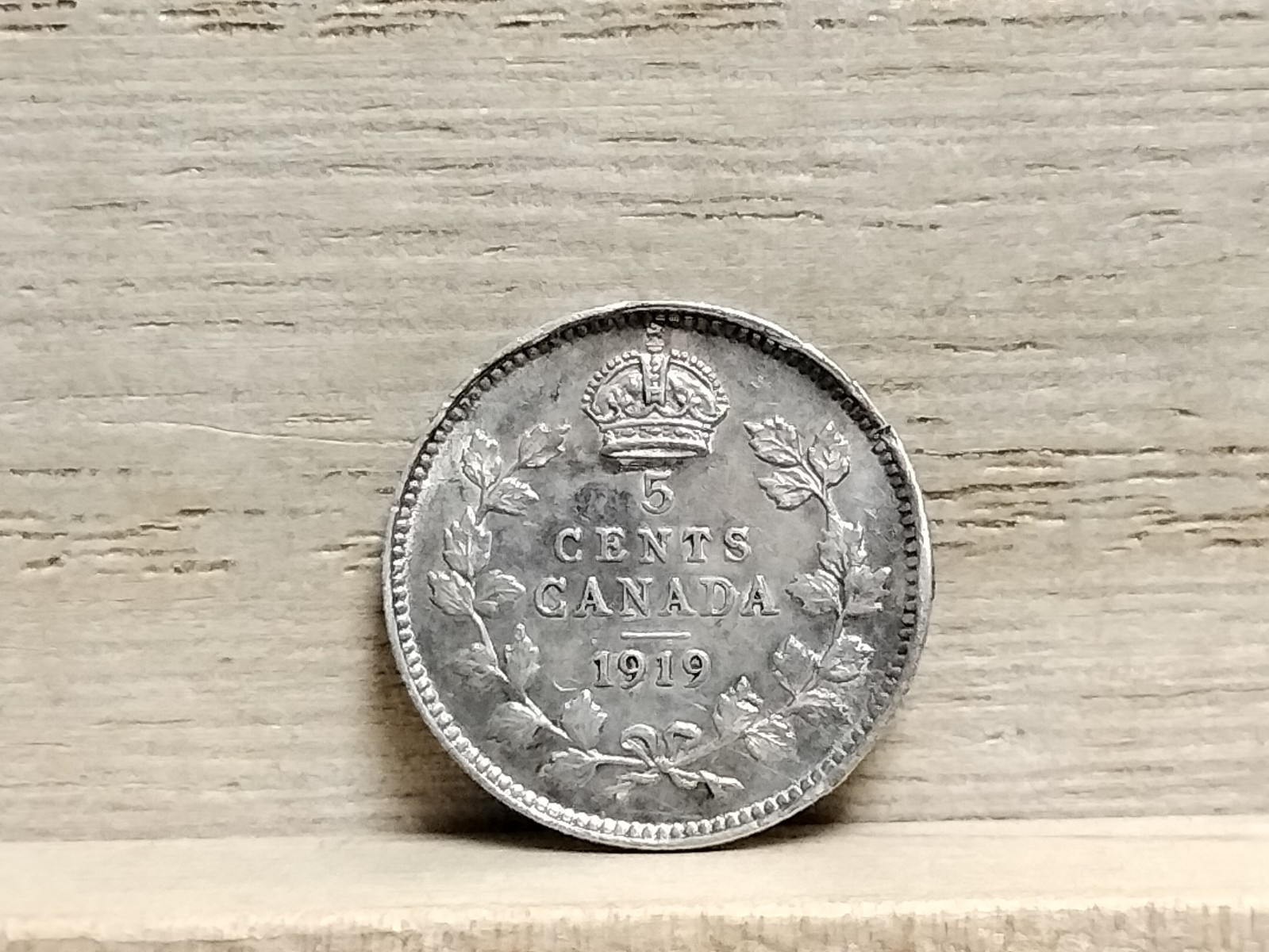 1919 5 Cents Canada Silver Coin (George V)