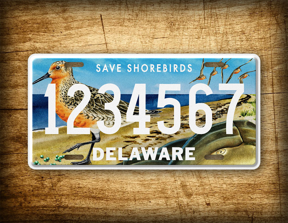 Personalized Delaware Save Shorebirds License Plate 6x12 CustomTag