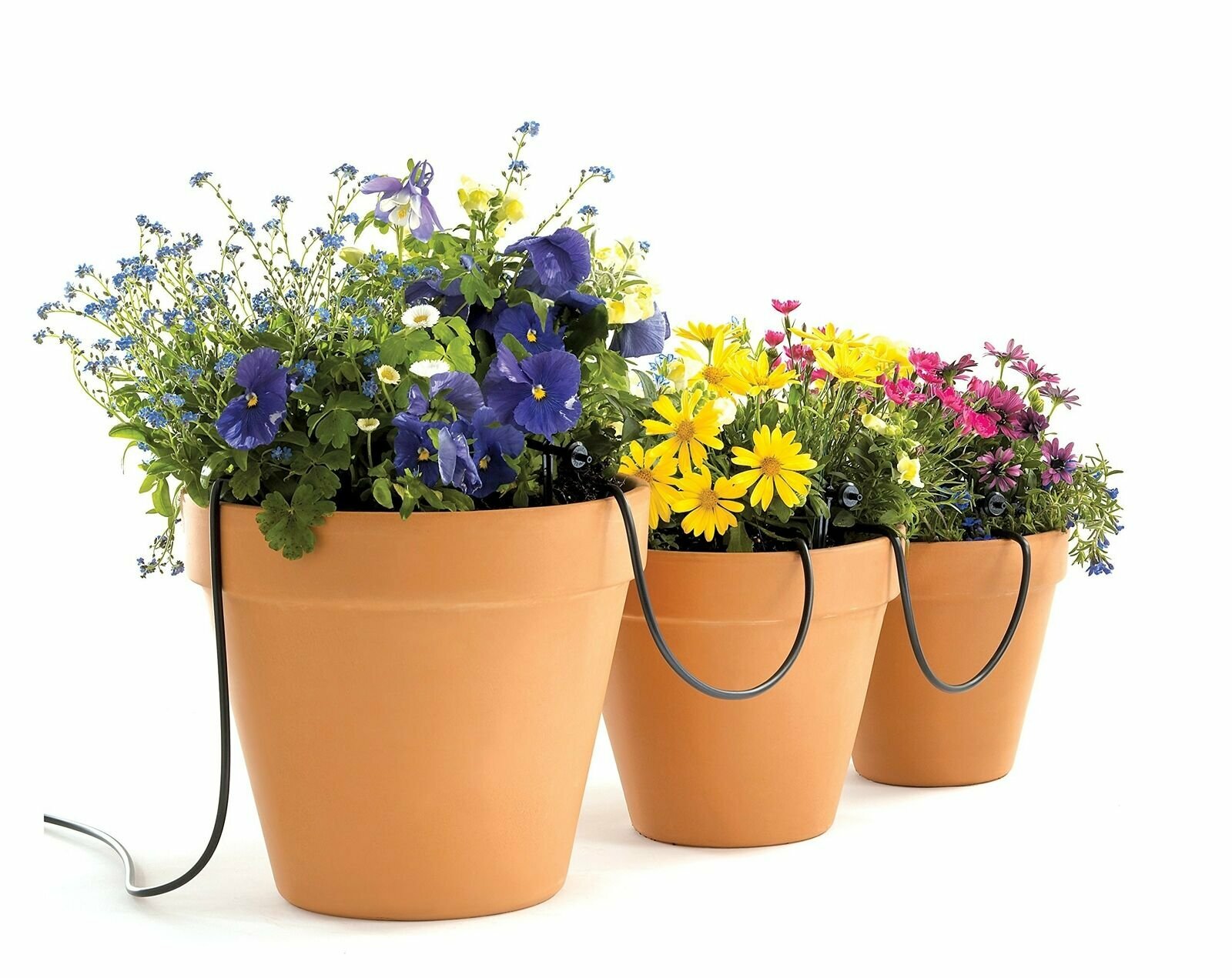 Raindrip R560DP Automatic Watering Kit for Container and Hanging Baskets