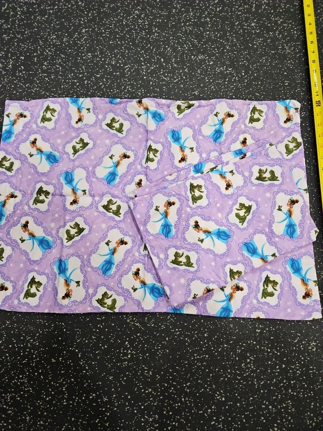 Set Of 2 Disney Princess And The Frog Pillow Cases
