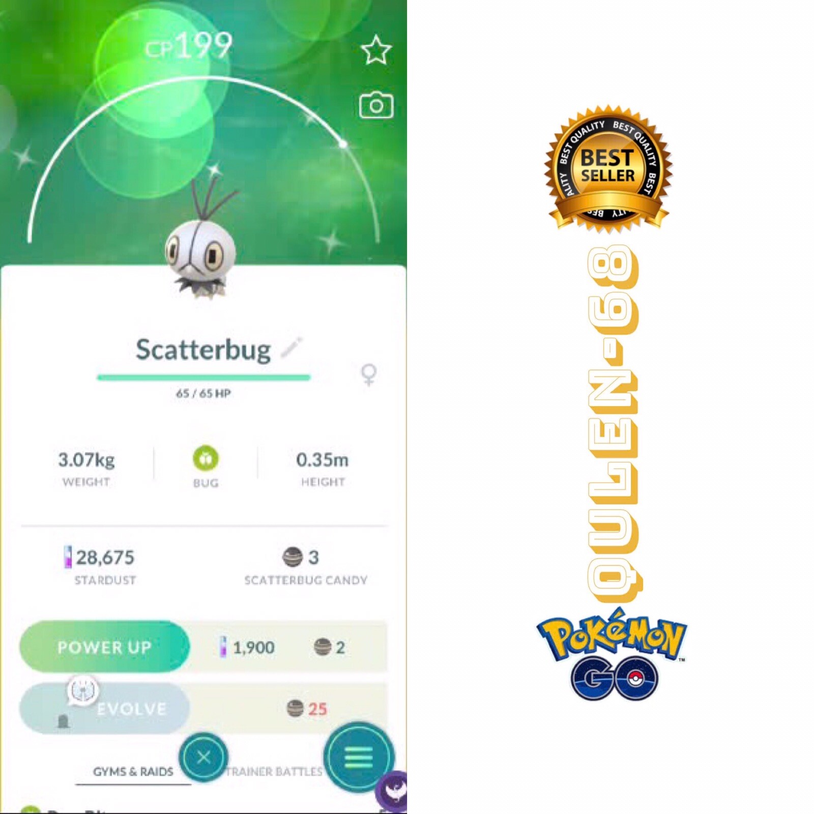 Pokémon Go - Shiny Scatterbug Form Tundra - Trade Registered Or PtC (20k )