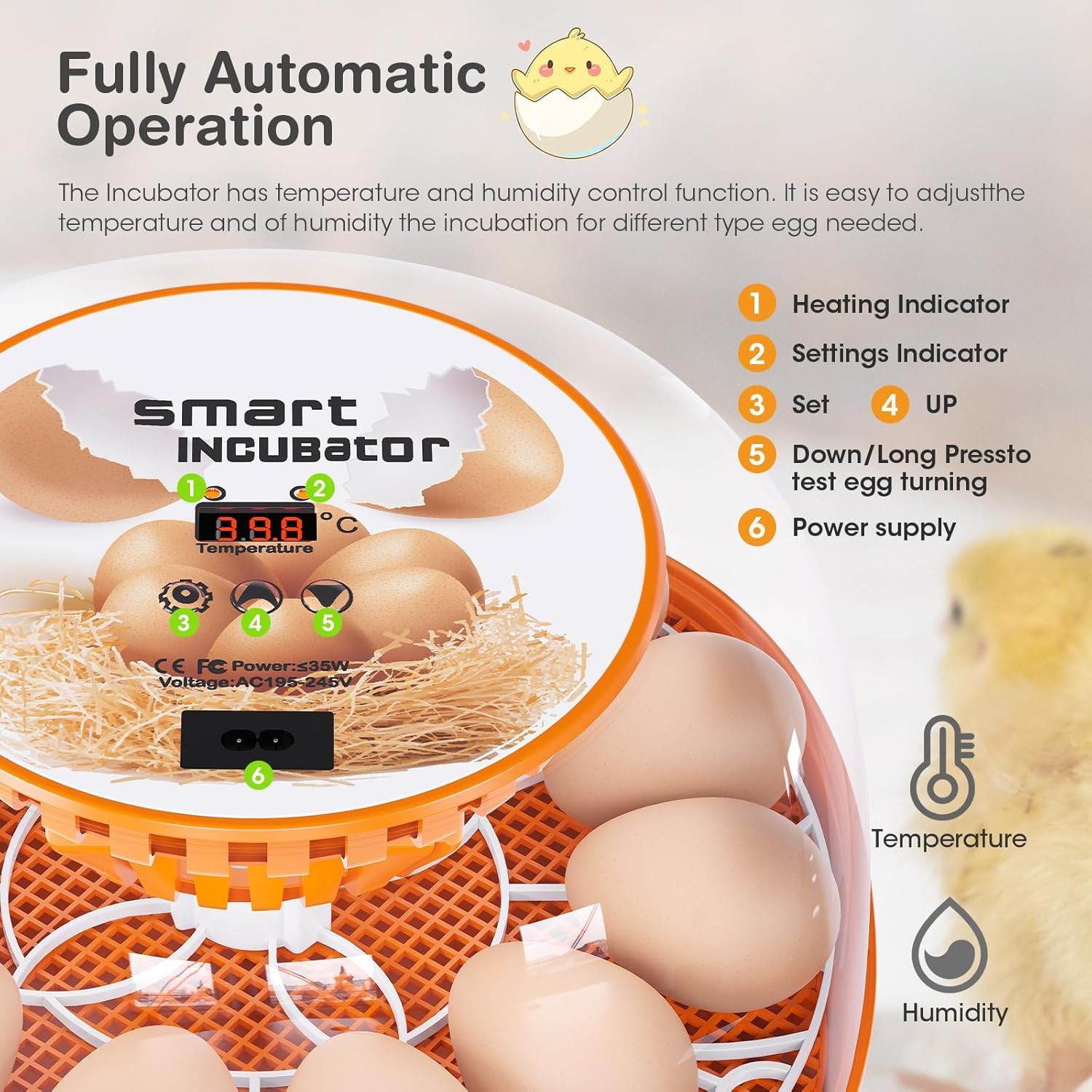 12 Egg Incubator with Automatic Egg Turning and Temperature Control, Automatic W