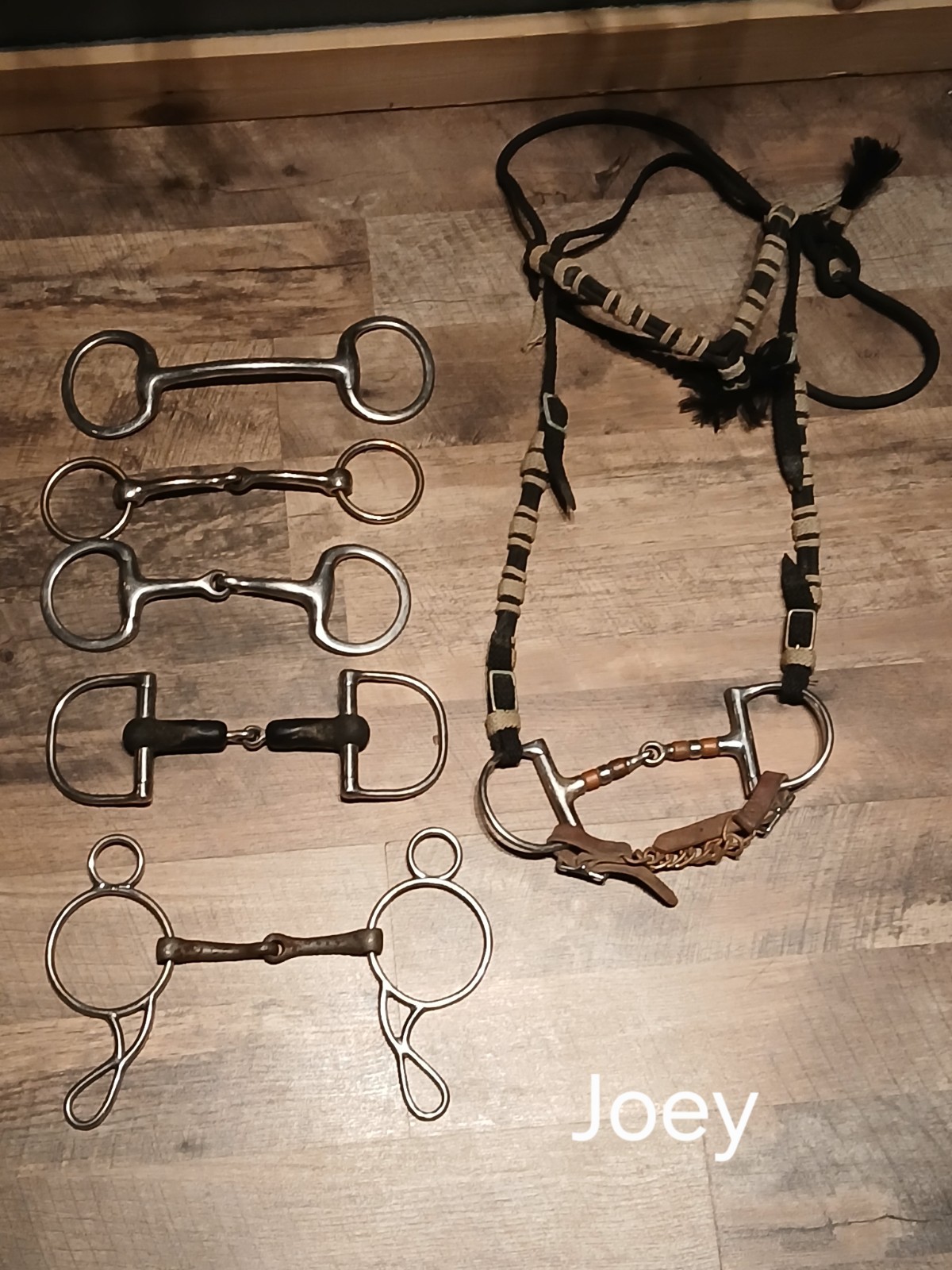 horse bits used