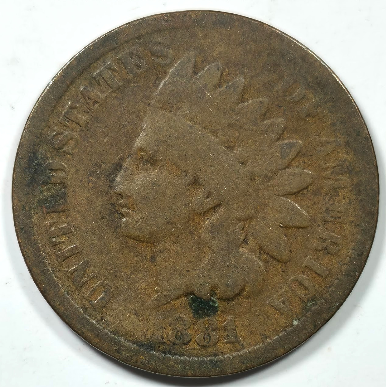 1881 INDIAN HEAD CENT 1C G GOOD CIRCULATED C215
