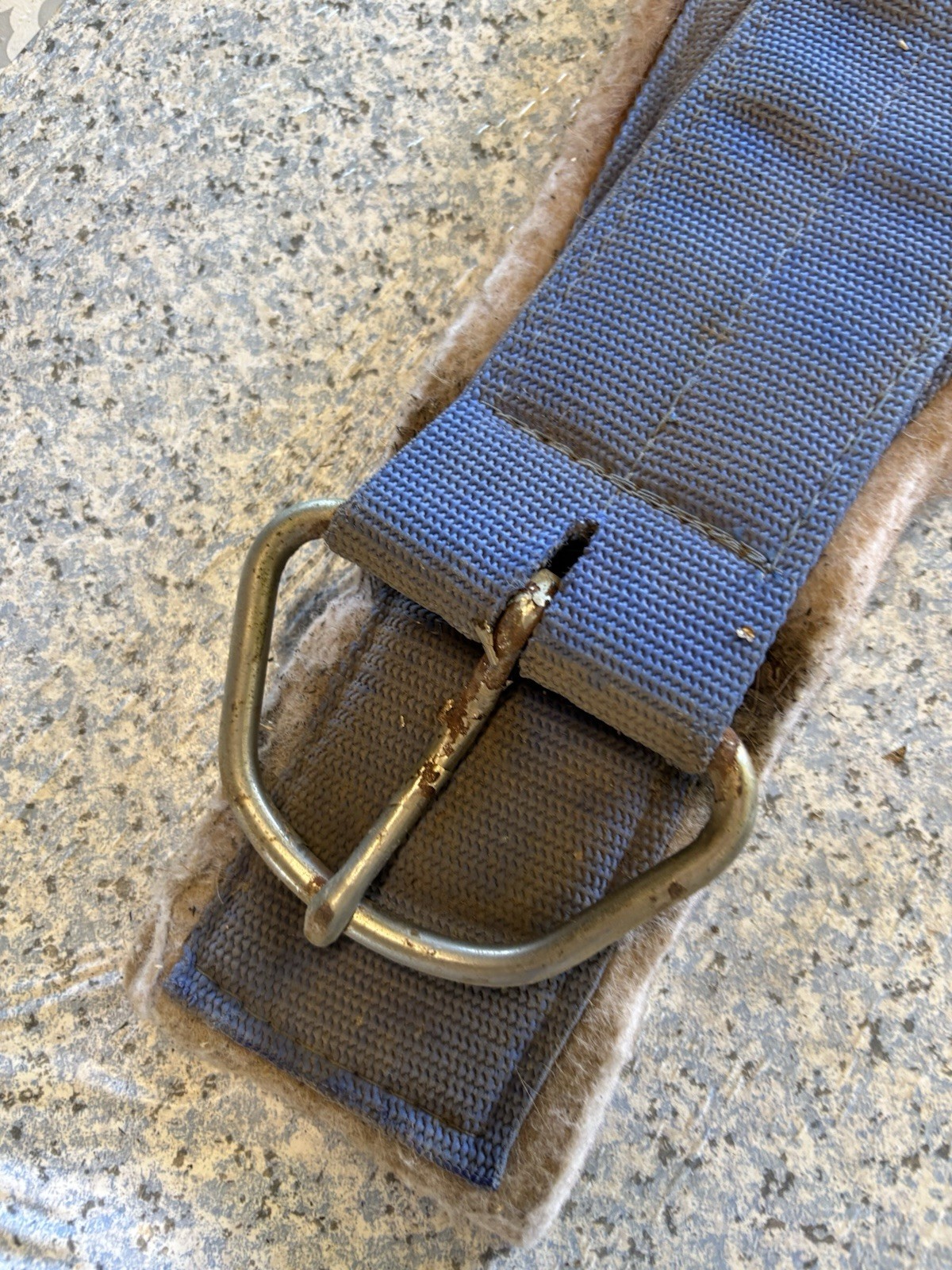 Felt Western Cinch