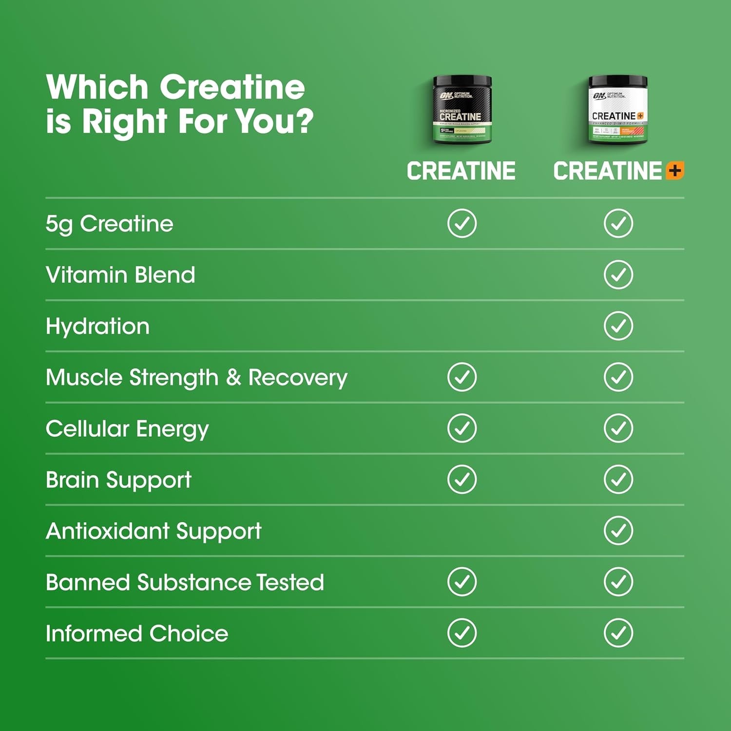 Micronized Creatine Monohydrate Powder, 5g/Serv, Banned Substance Tested