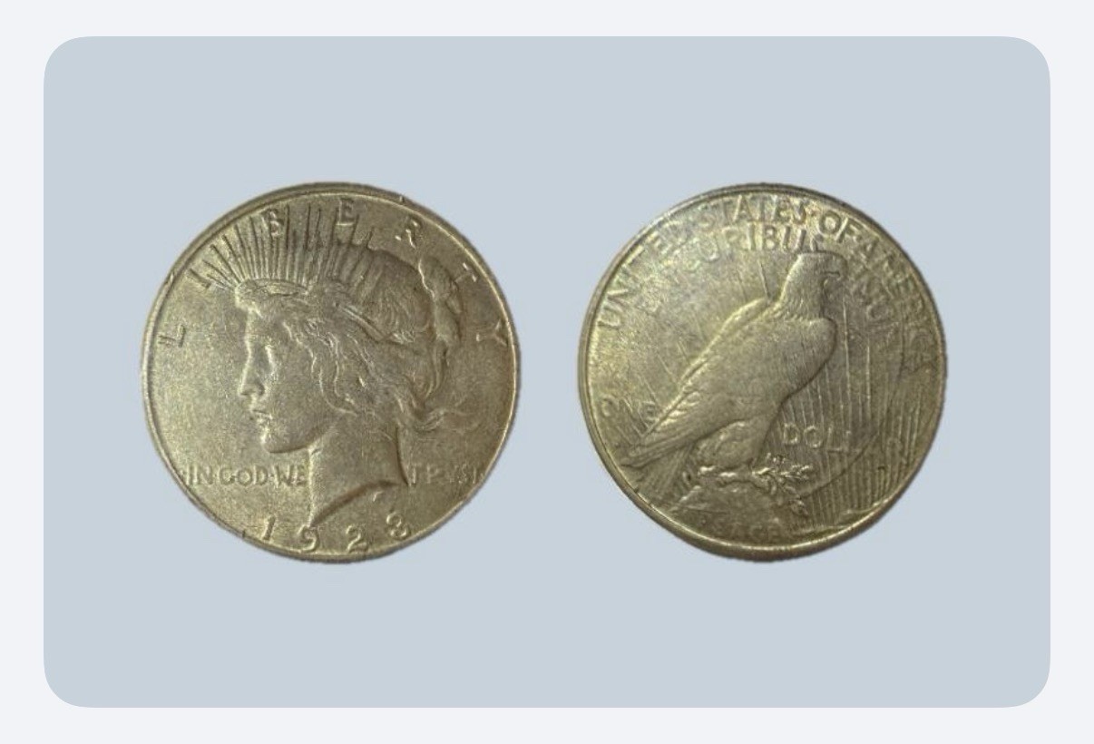 1923 US Dollar $1 Silver Coin Circulated 0.9 Fineness