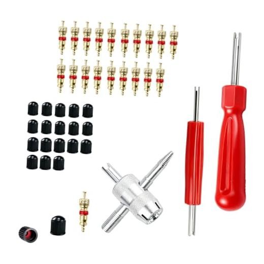 Valve Stem Removal Tool, 20 PCS Valve Cores, 20 PCS Tire Valves Caps, 1 PCS 4