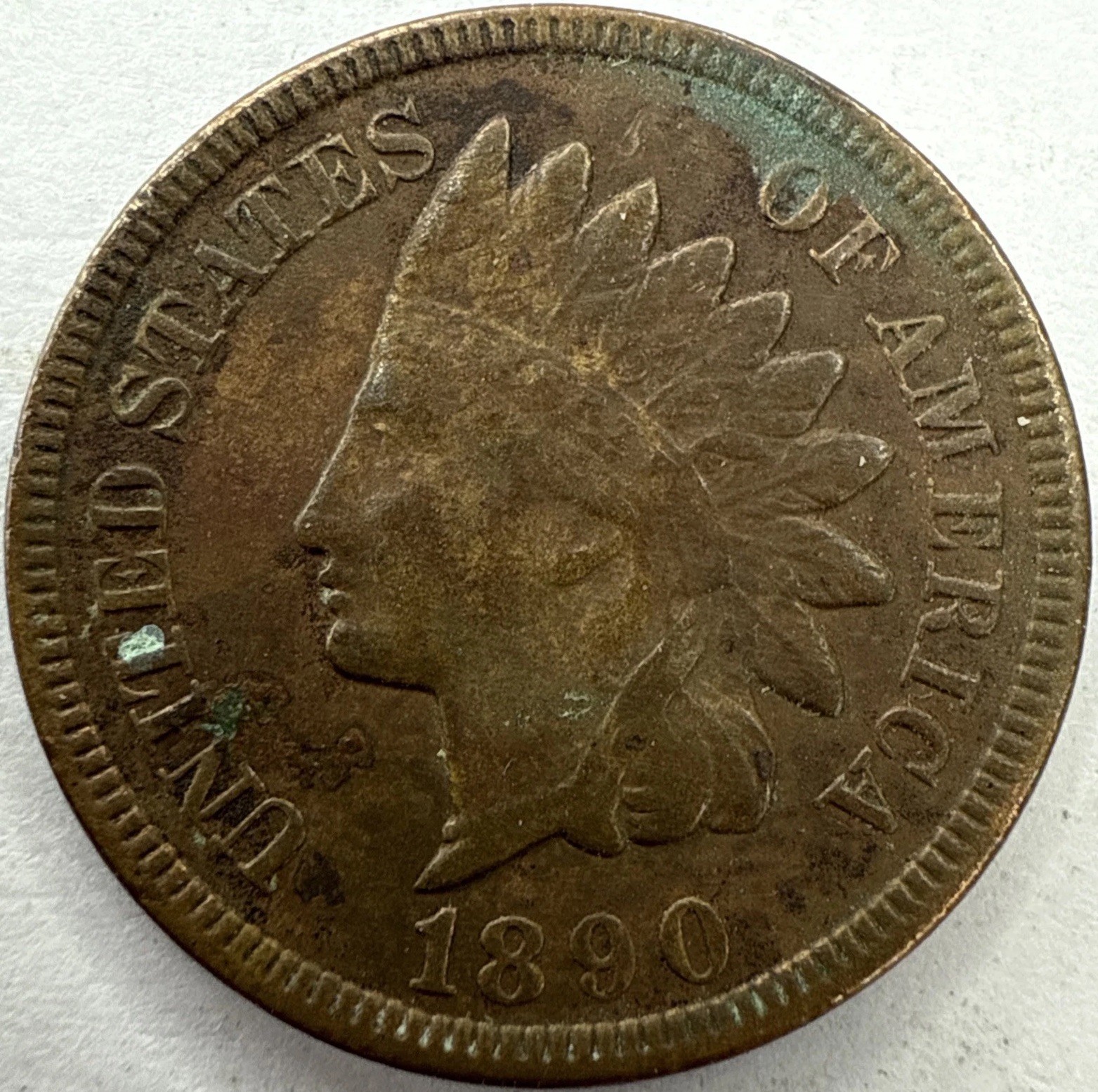 1890 Indian Head Cent Exact Coin Imaged #IND2296