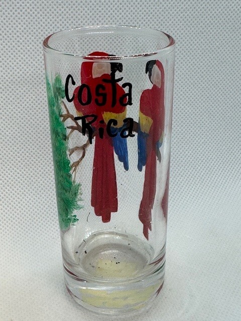 Coast Rica Clear Hand Painted Shot Glass