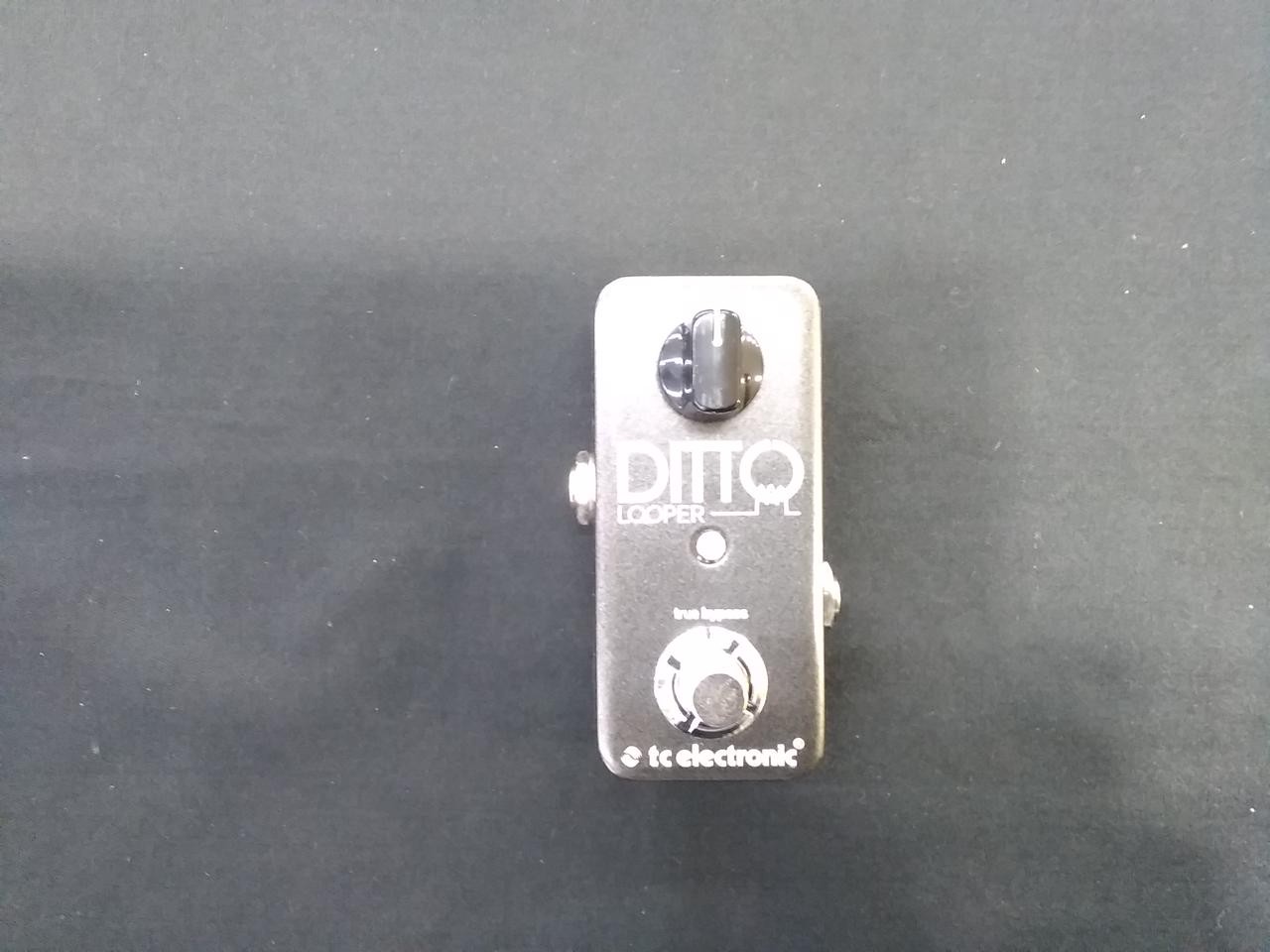 TC Electronic Ditto Looper Guitar Pedal Effects Loop True Bypass Compact