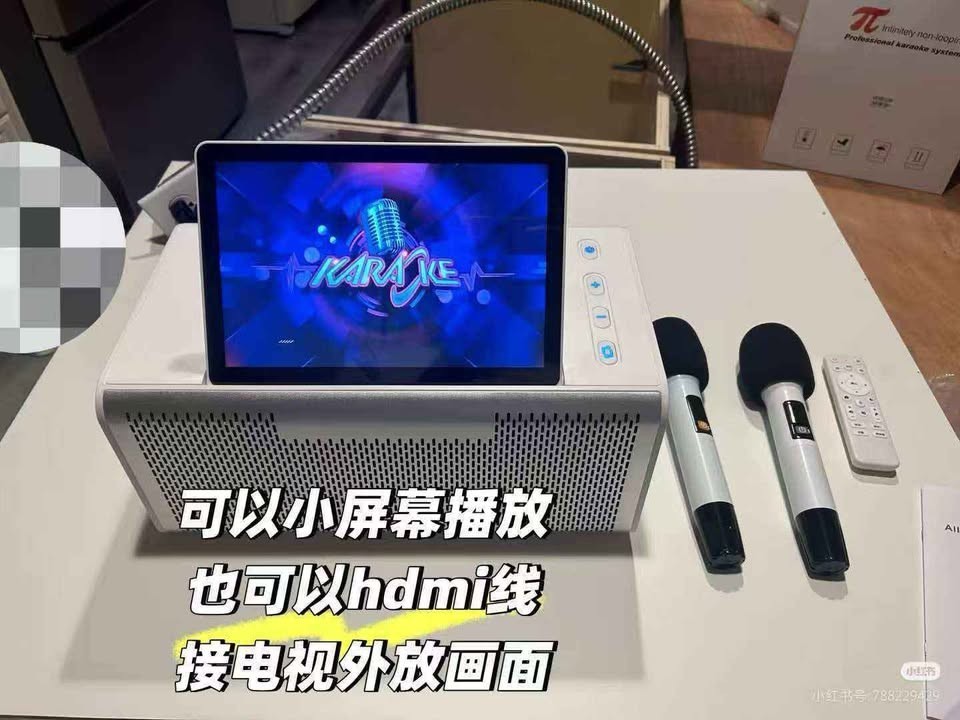 6 in 1 Karaoke Professional Karaoke System