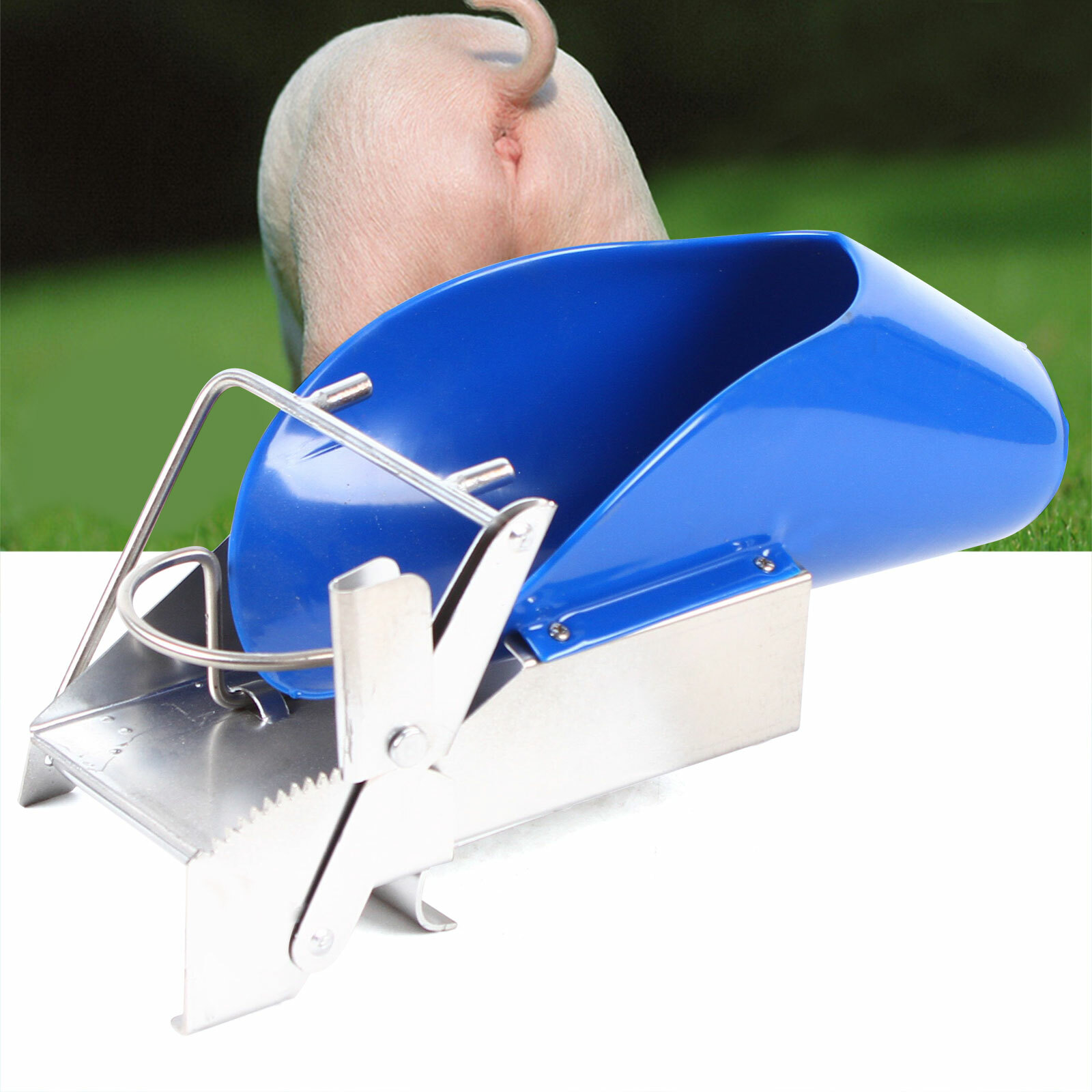 Piglet Castration Rack Pig Sterilization Tool Pig Castration Processing Facility