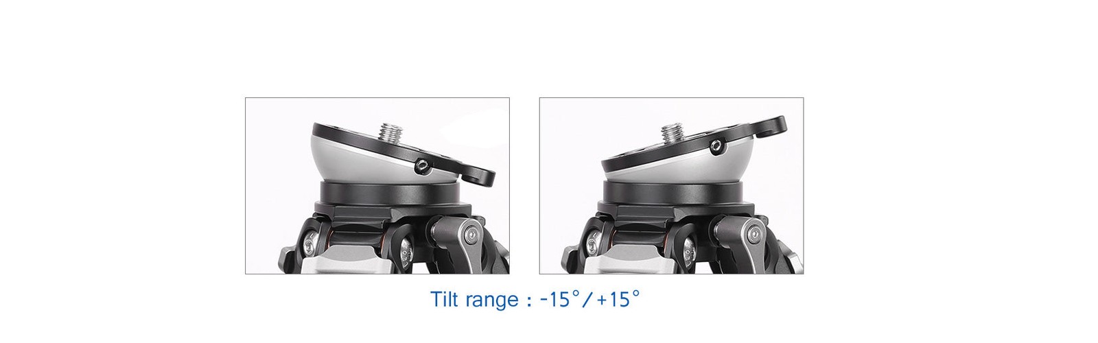 Leofoto LS-284CEXX Tripod w Integrated Leveling Head Ballhead LS-284CEXX+BV-10