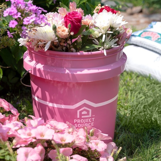 Project Source Pink 5-gallon Plastic General bucket