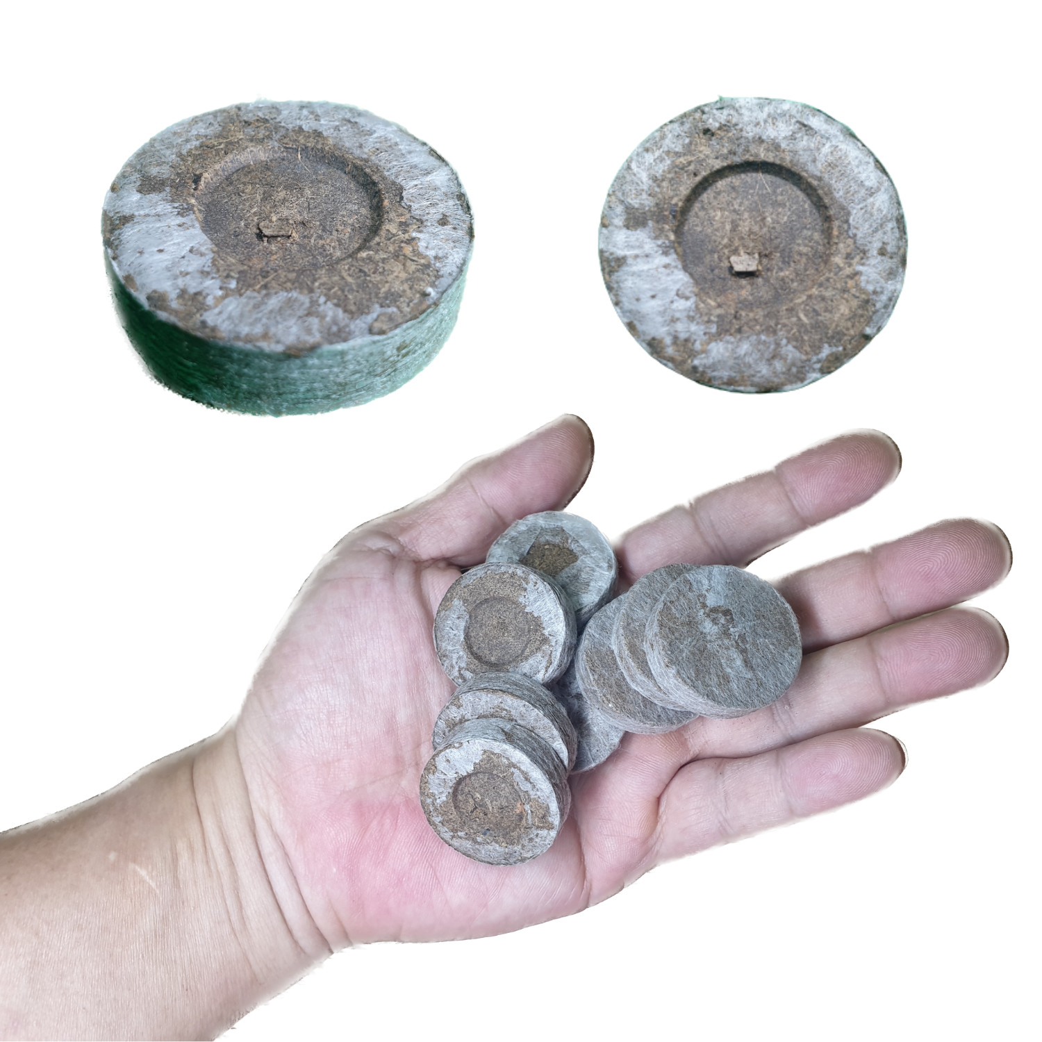 10pc 30mm Peat Pellets Seed Starting Plugs - Rapid Germination and Easy Planting