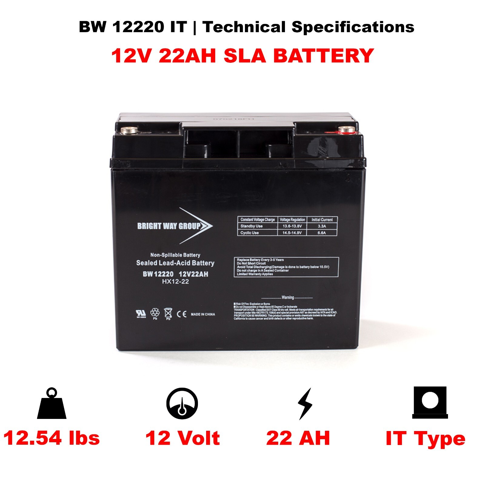 Bright Way Group BW 12220 IT (12V 22AH) Battery