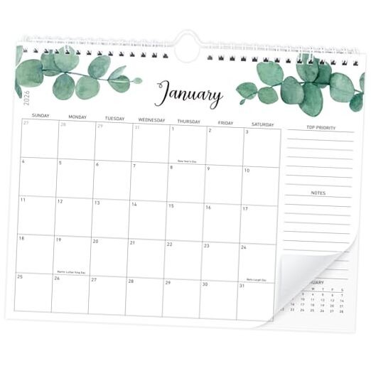 Calendar 2026 — Wall Calendar Jan 2026–Jun 2027, 18-Month B WALL CALENDAR 2026