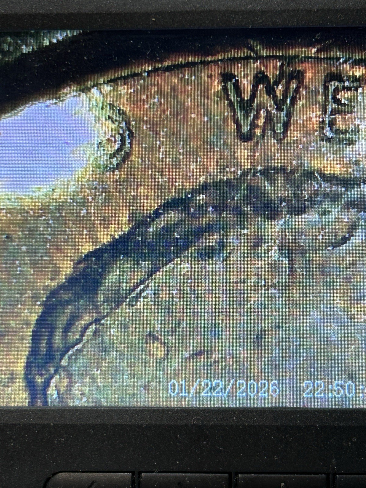 1983 P Lincoln Memorial Cent. Spiked Head Die Crack