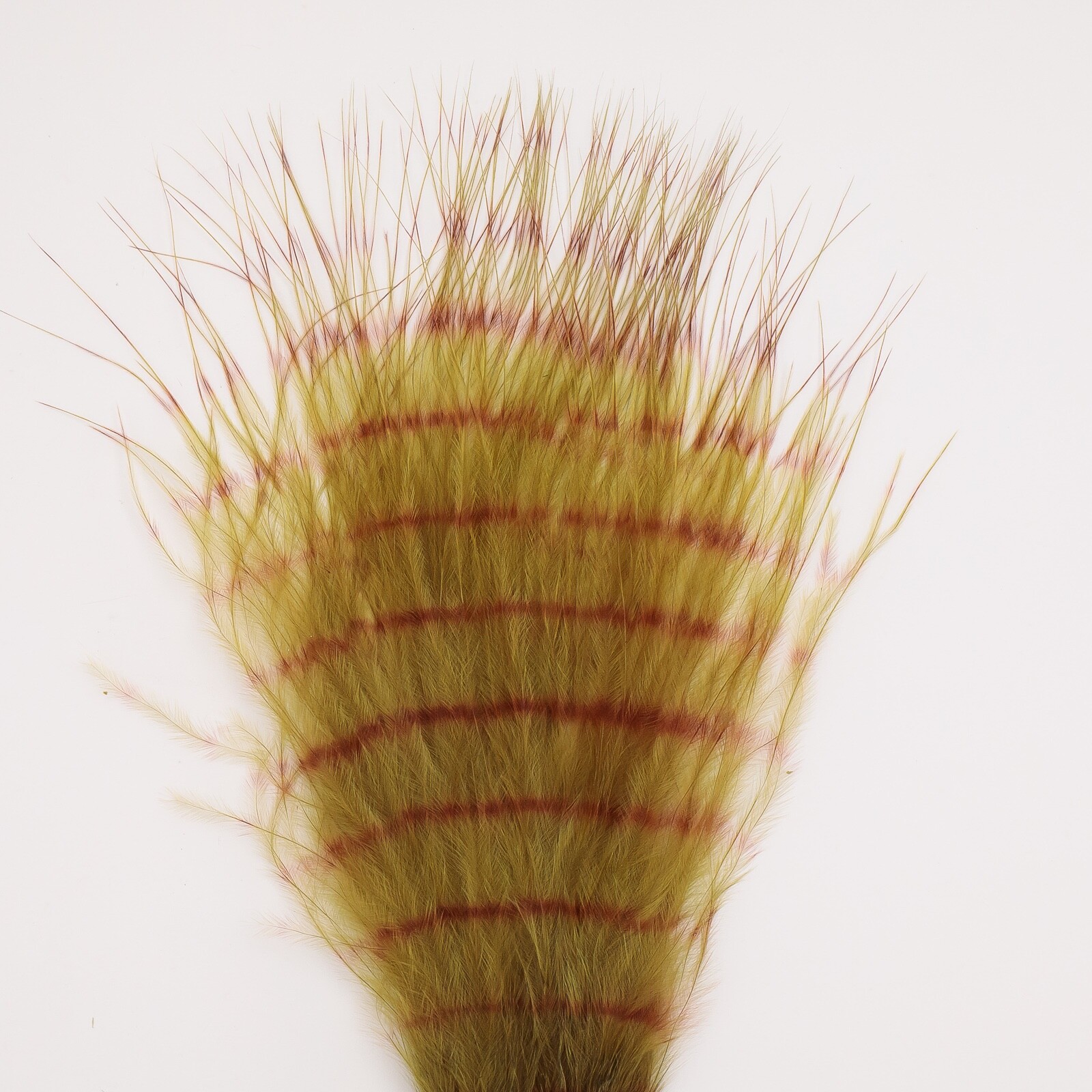 Montana Fly Company Fine Barred Marabou 3-5" - Olive/Brown