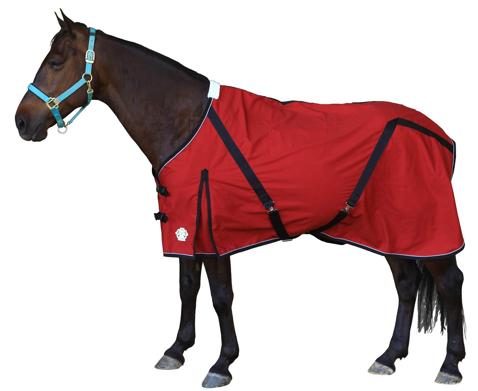 T TEKE Deluxe Horse Canvas Sheet for Snug and Clean in Stable or as a Blanket