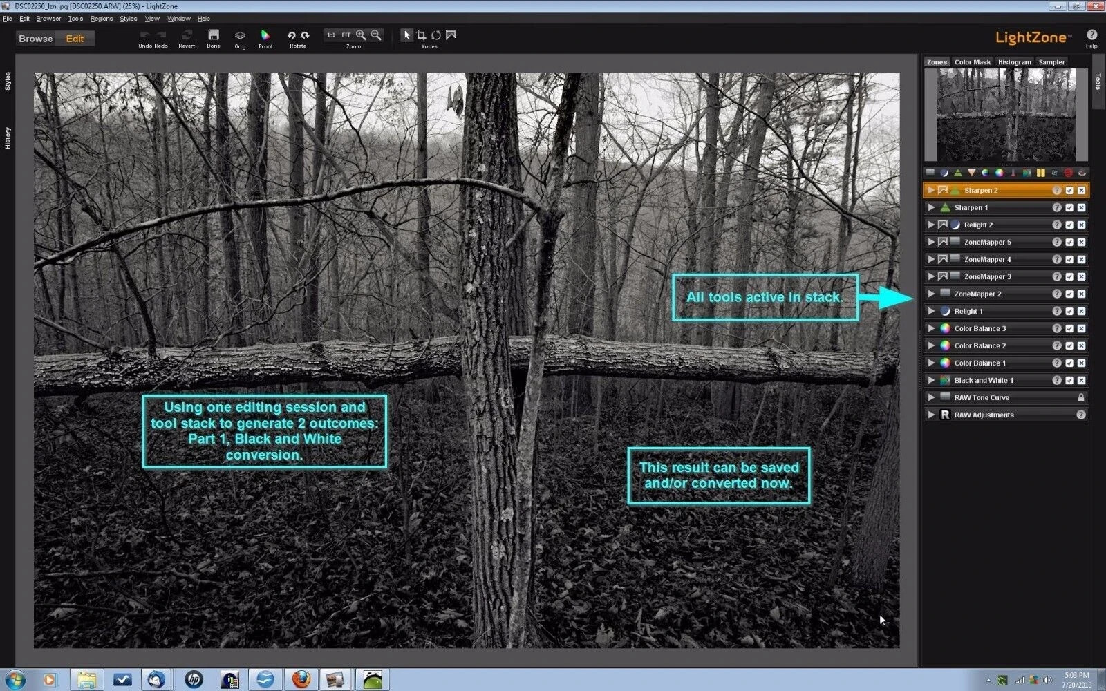 Pro Digital Photo Camera RAW Image Editing LightZone Software 2026 - Windows Mac