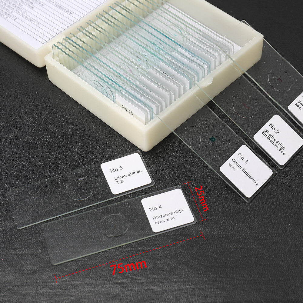 25PCS Animal Plants Insects Tissues Cover Slips Microscope Slides L4P4