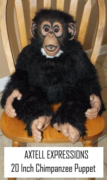 Axtell Expressions Chimpanzee Ventrioquist Classic "Amazing Apes" About 20 Inch