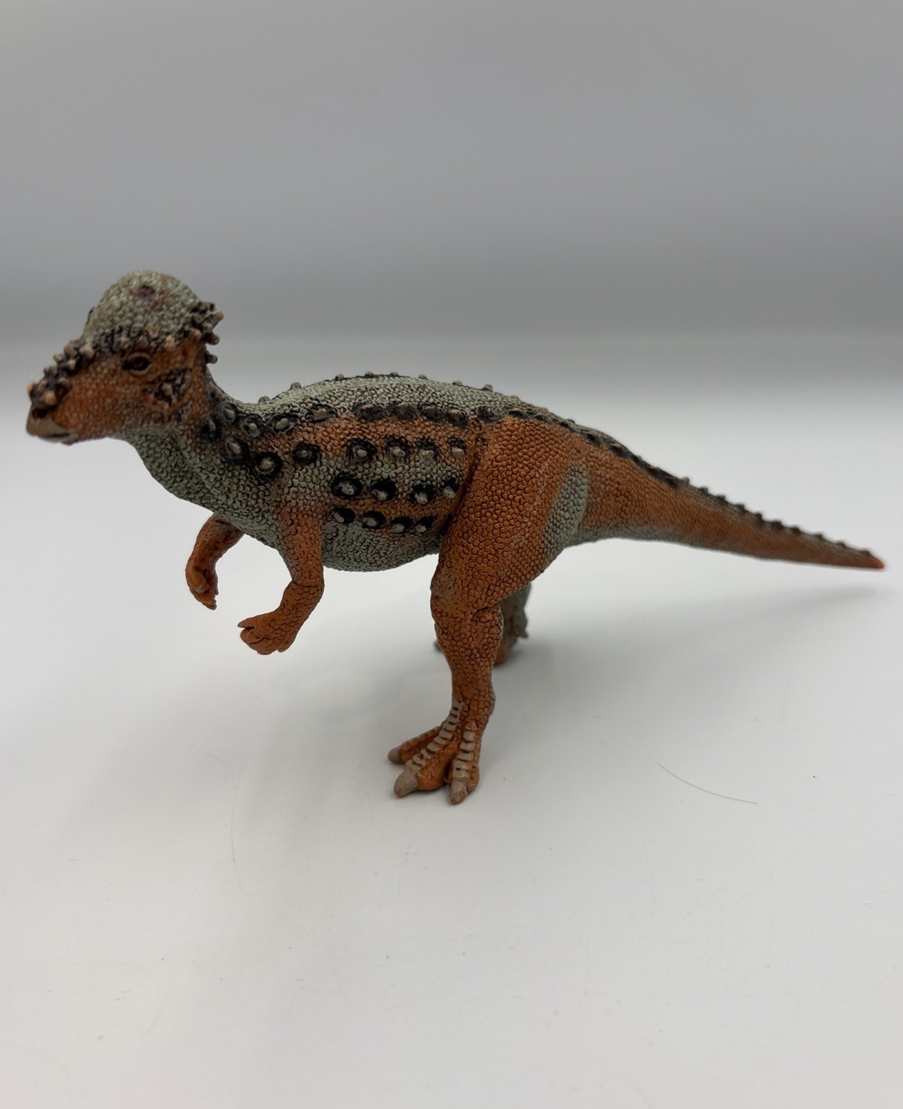 PACHYCEPHALOSAURUS Animal Figurine Safari Ltd. toy Prehistoric World Collection